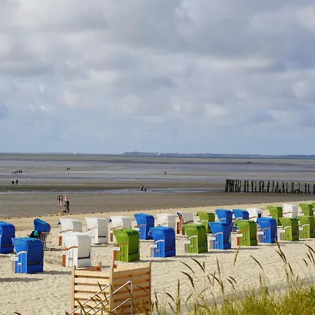 Sandwall Whg 5 Karolinenhoehe *